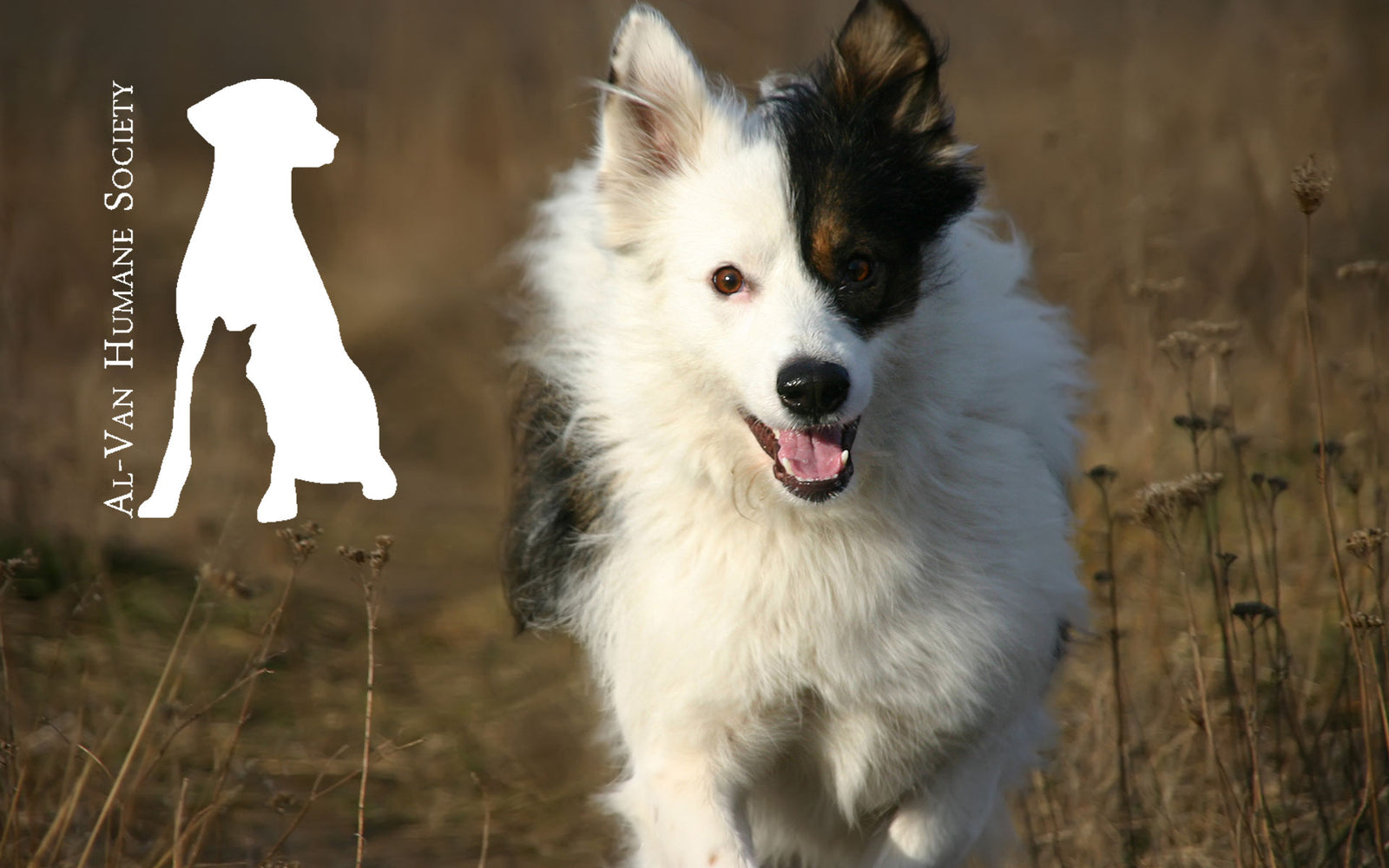 Al-Van Humane Society