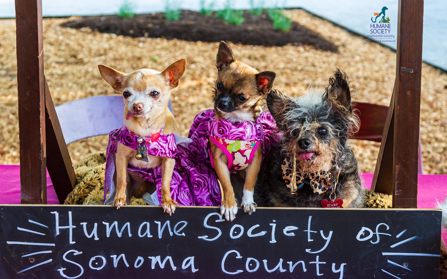 Humane Society of Sonoma County - Unique by Nature UxN