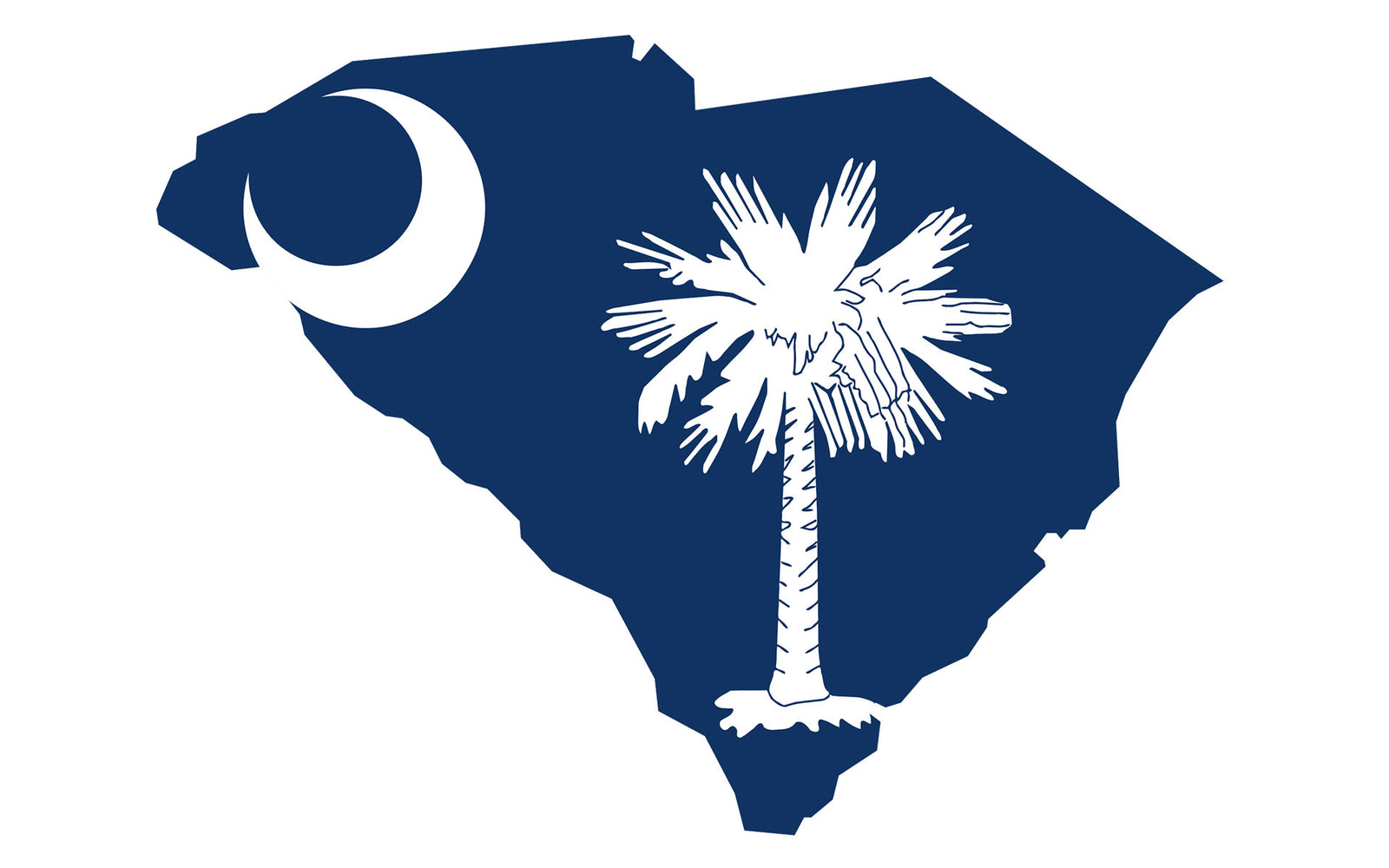 Gru's Treasure Hunt: South Carolina